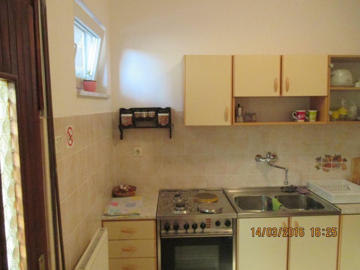 Apartments Sandra Novigrad  Екстер'єр фото